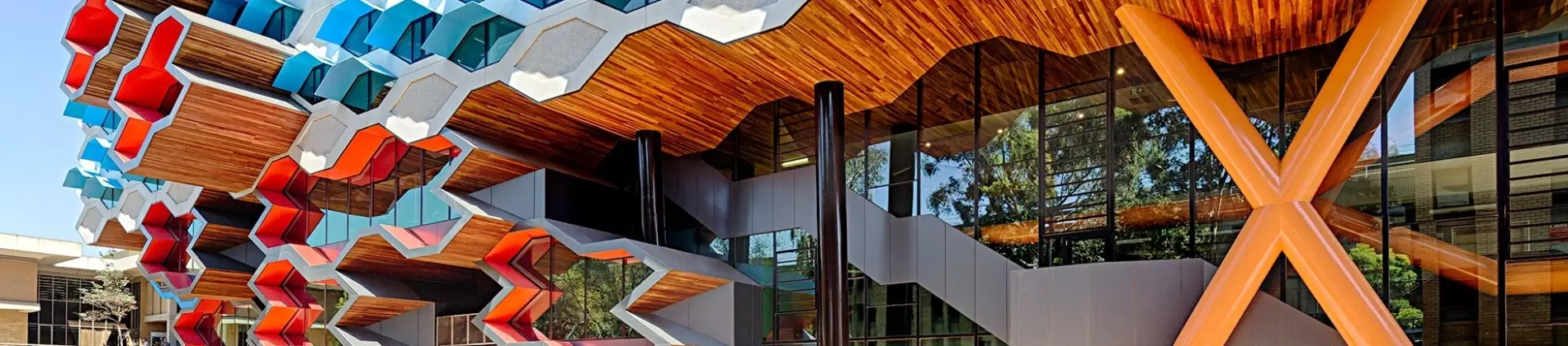 Bachelor of Commerce/Bachelor of Global Studies